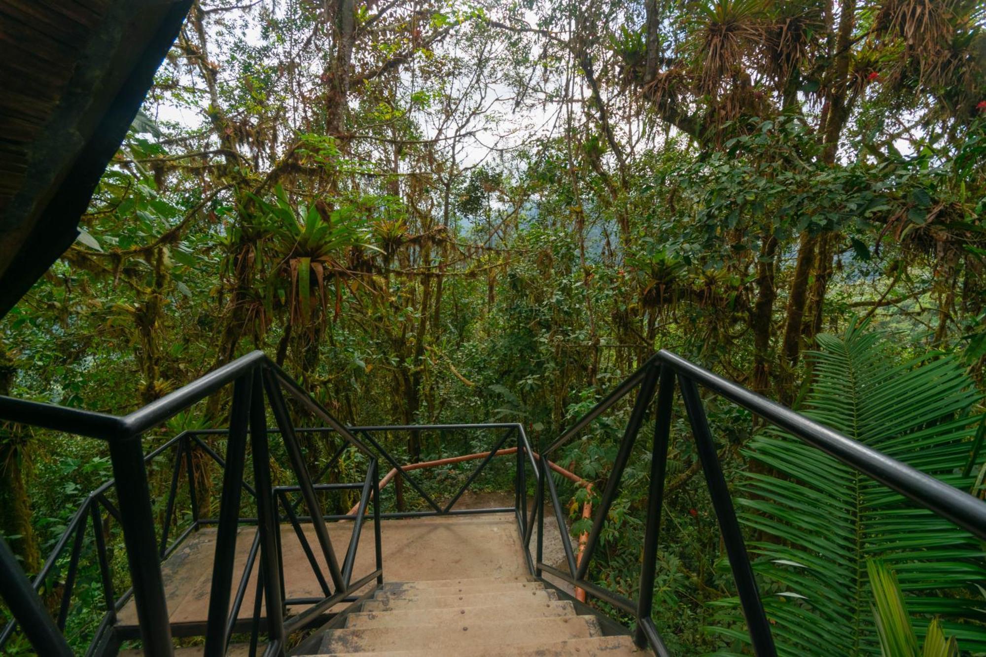Bellavista Cloud Forest Lodge & Private Protected Area Tandayapa Exterior foto